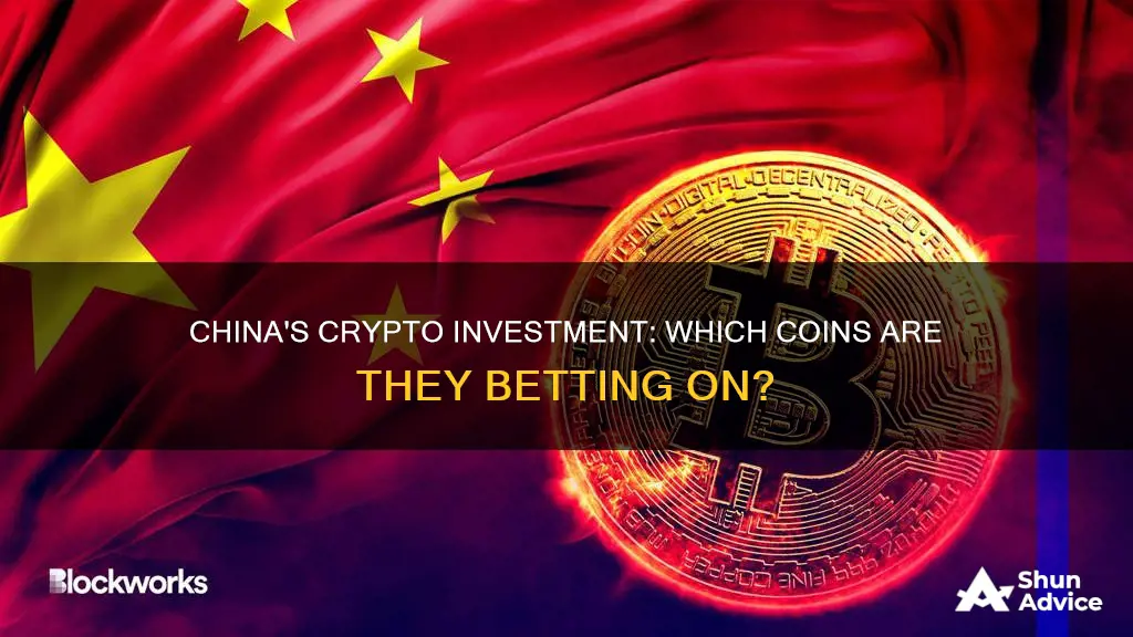 what cryptocurrency is china investing in