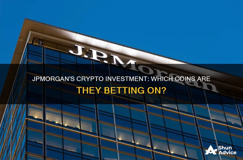 what cryptocurrency is jp morgan investing in