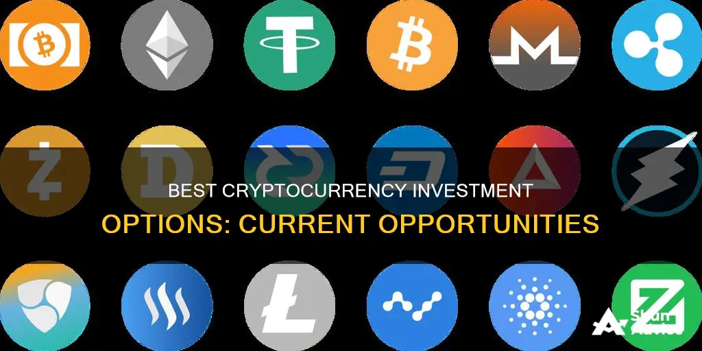 what cryptocurrency to invest in now