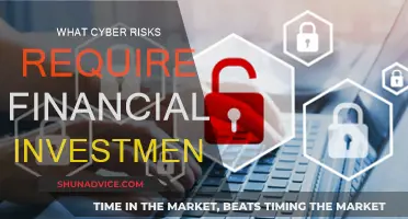 Financial Investment Needed to Mitigate Cyber Risks