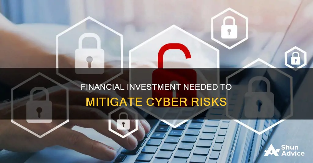 what cyber risks require financial investment