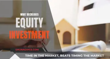 Equity Investment: Factors Leading to Decreased Funding