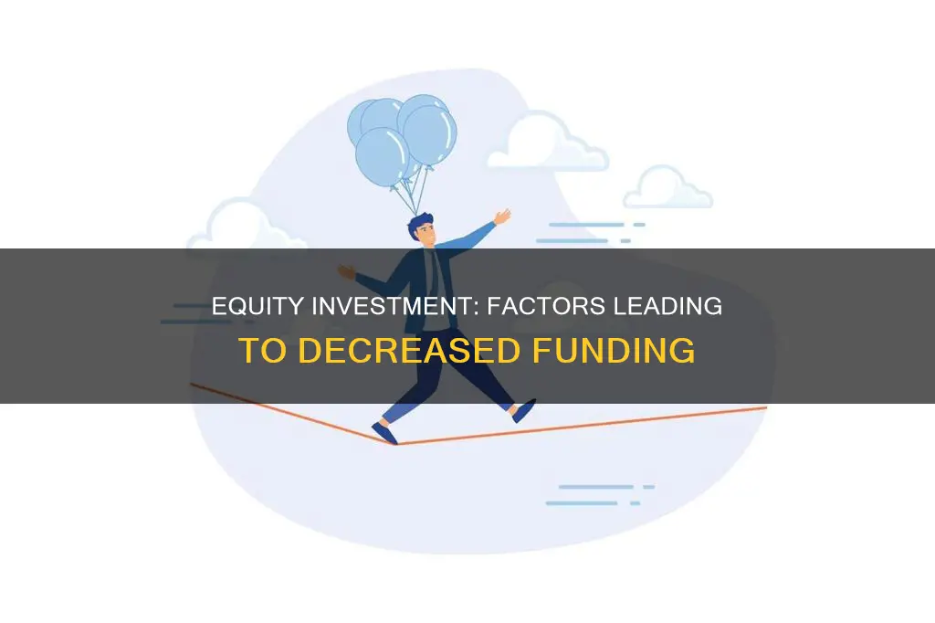 what decreases equity investment