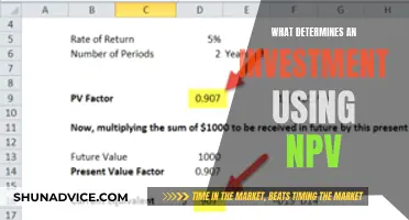 NPV Investment Determinants: Factors for Financial Decision-Making