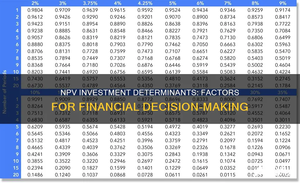 what determines an investment using npv