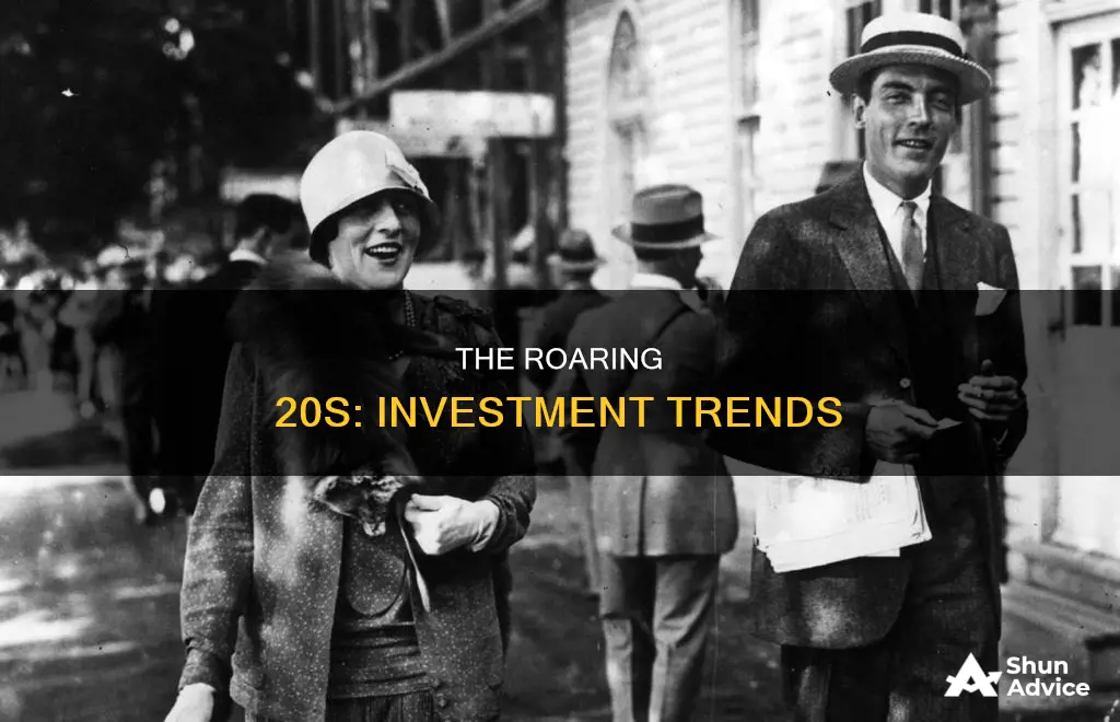 what did people invest in the 20s