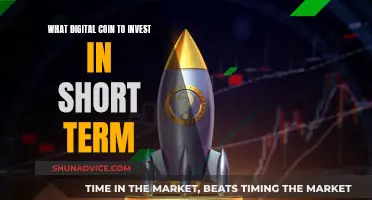 Short-Term Crypto Investments: Which Digital Coins to Pick?