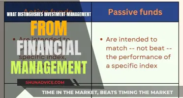 Investment vs Financial Management: What's the Core Difference?