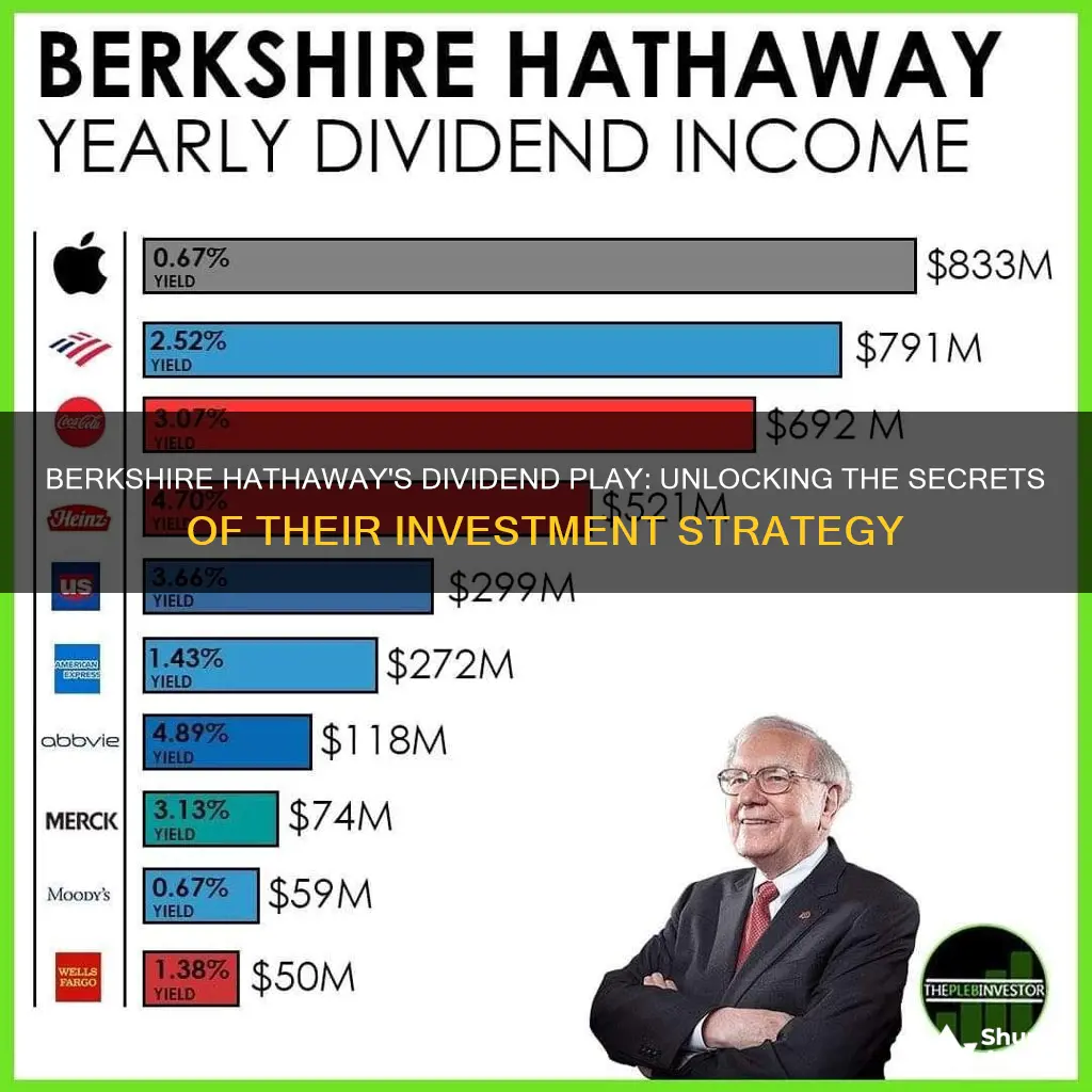 what dividend pay investments does berkshire hathaway