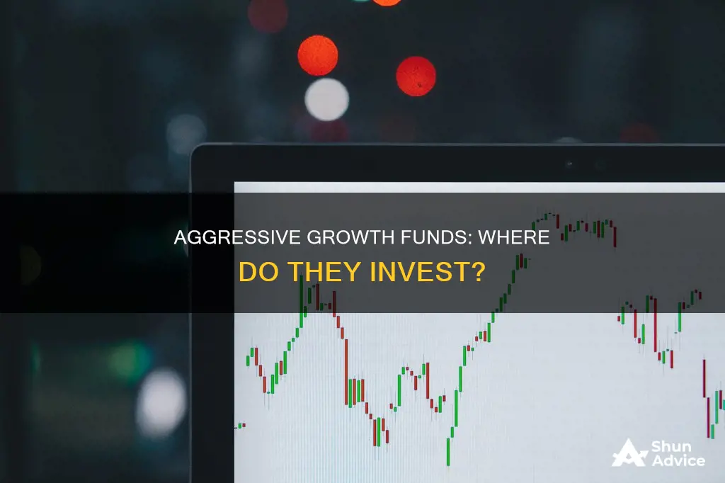 what do aggressive growth funds invest in