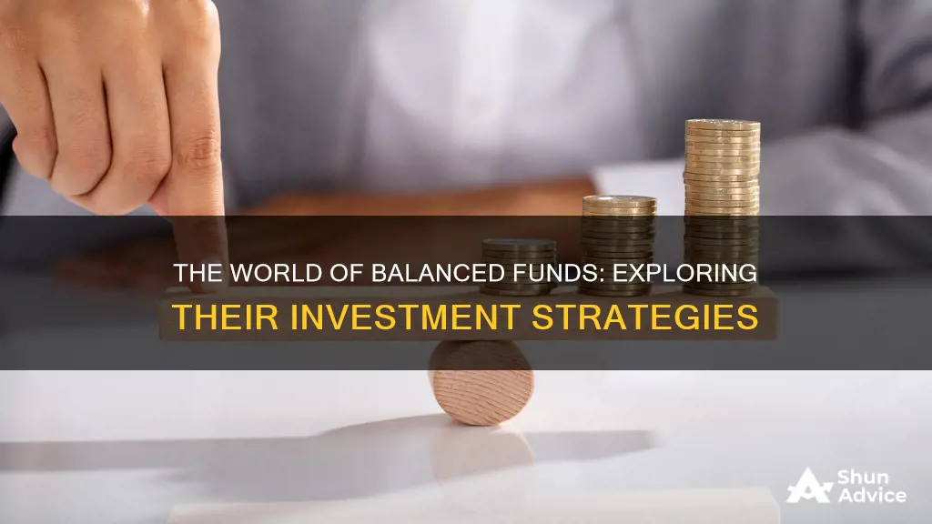 what do balanced funds invest in