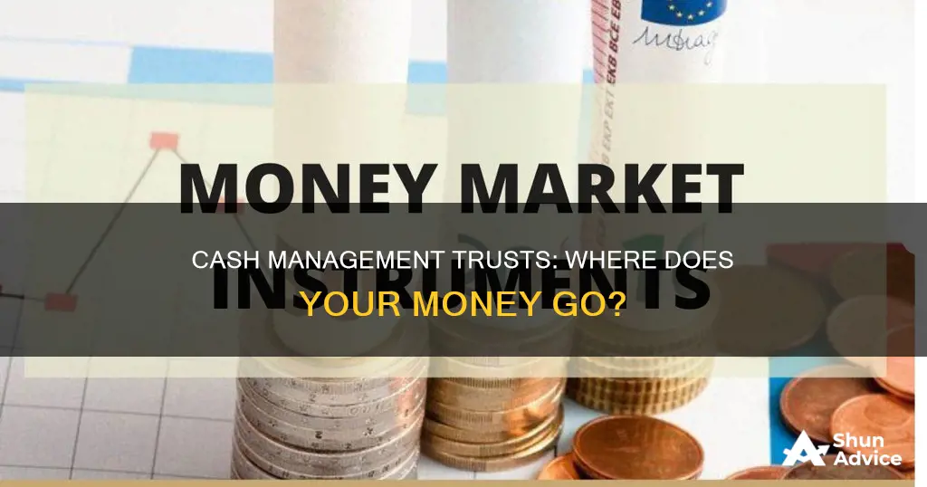 what do cash management trusts invest in