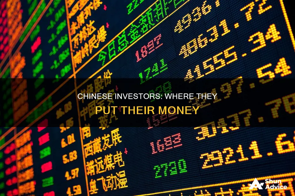 what do chinese people invest in