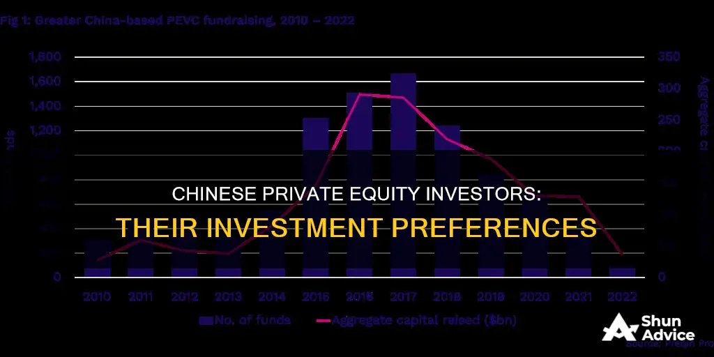 what do chinese private equity investors like to invest in