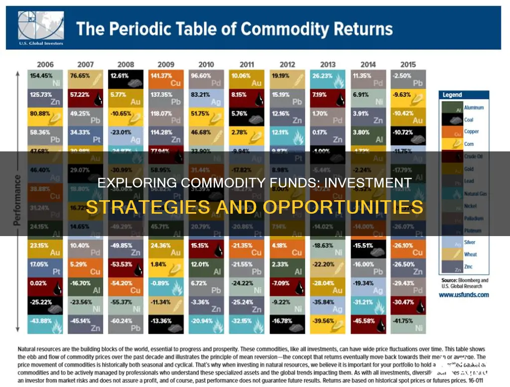 what do commodity funds invest in