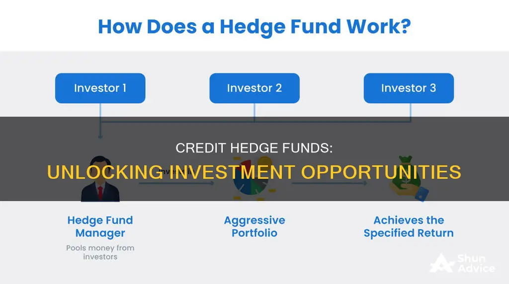 what do credit hedge funds invest in