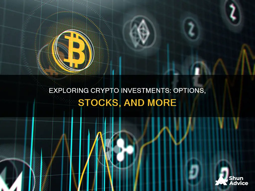 what do crypto investments count as options or stocks