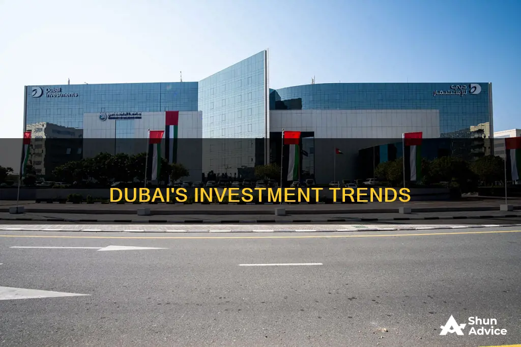 what do dubai people invest in