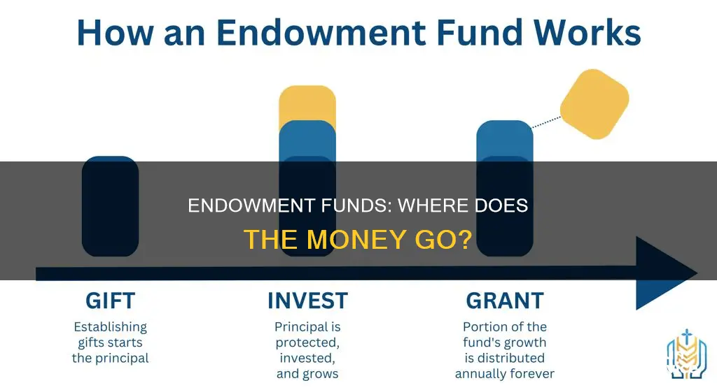 what do endowment funds invest in