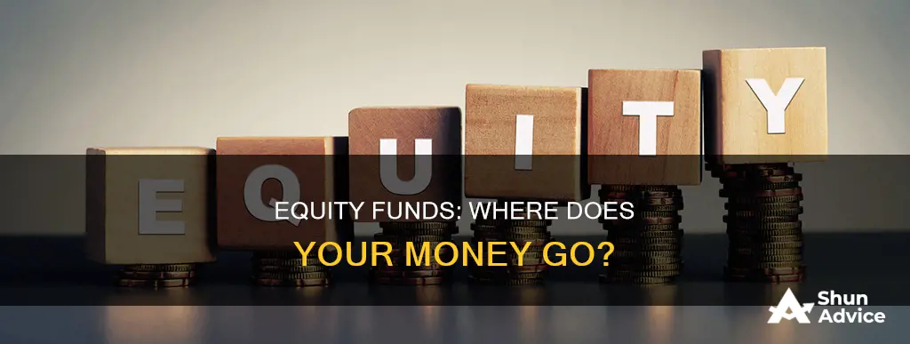 what do equity funds invest in