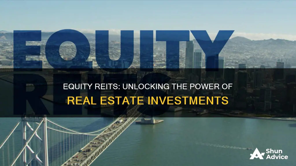 what do equity reits invest in