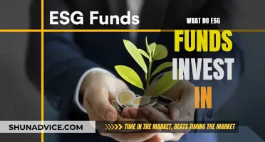 ESG Funds: Where Does Your Money Go?