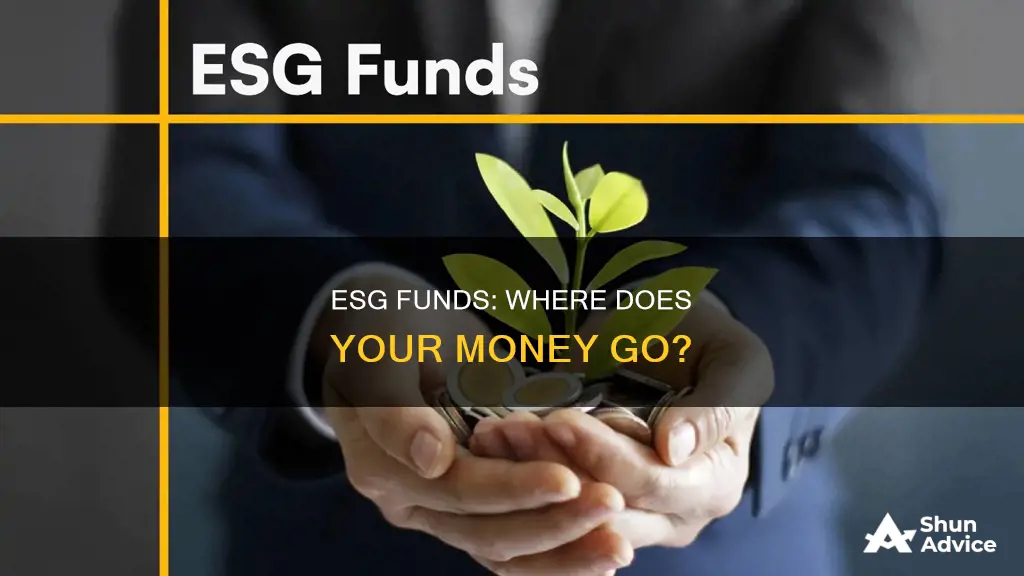 what do esg funds invest in