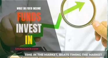 Fixed Income Funds: Where Do They Invest?