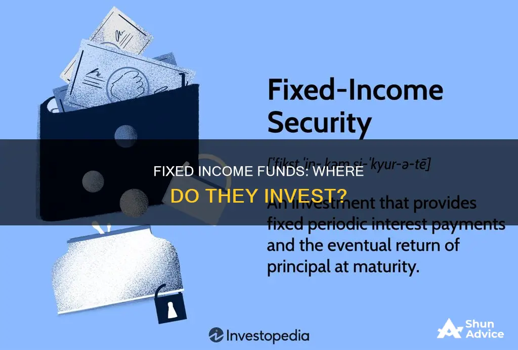 what do fixed income funds invest in