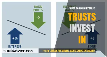 Fixed Interest Trusts: Exploring Their Investment Strategies