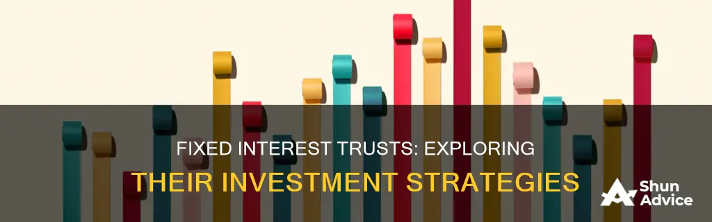 what do fixed interest trusts invest in