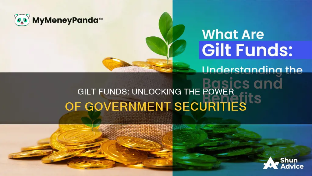 what do gilt funds primarily invest in