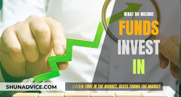 Income Funds: Where Do They Invest Your Money?