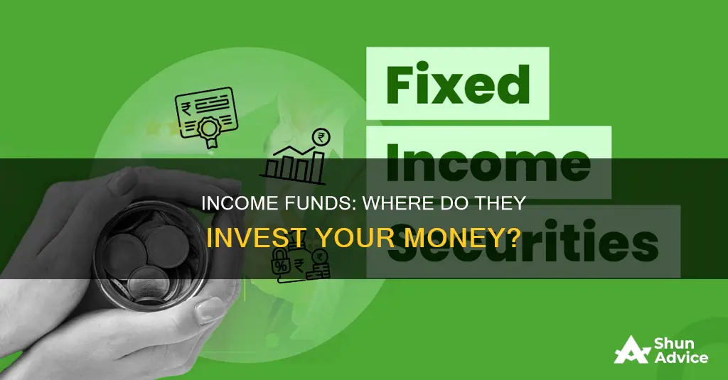 what do income funds invest in