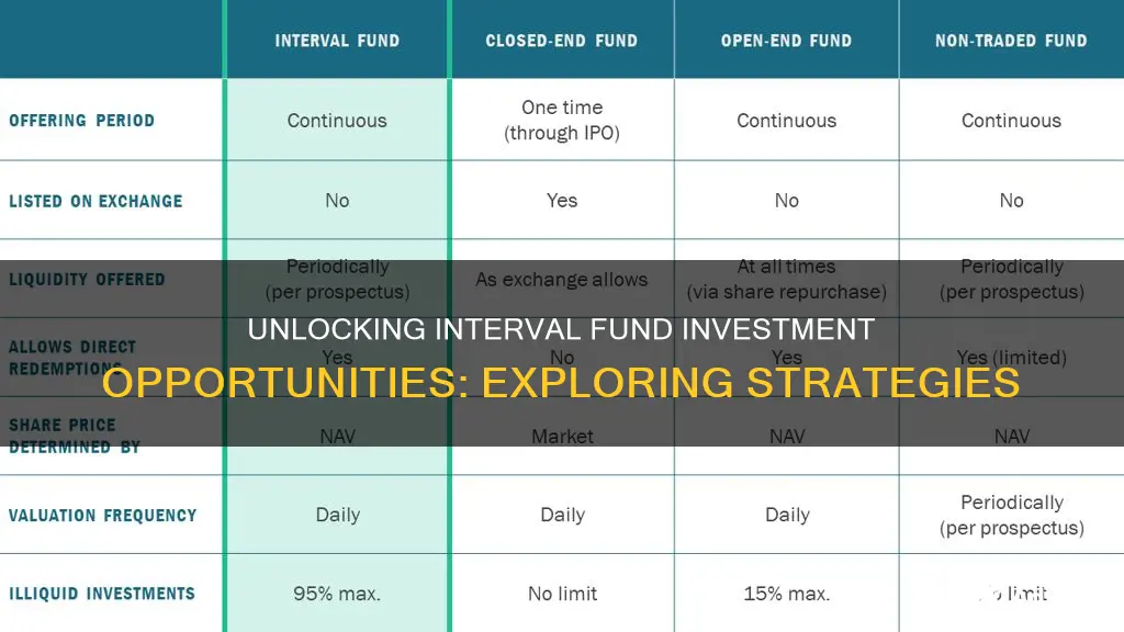 what do interval funds invest in