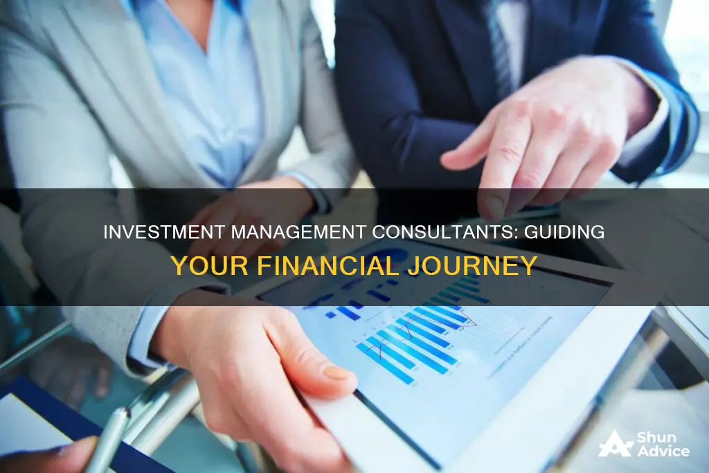 what do investment management consultants do