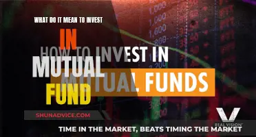 Mutual Fund Investment: What You Need to Know