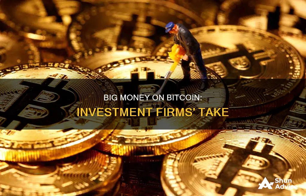 what do large investment firms think of bitcoin