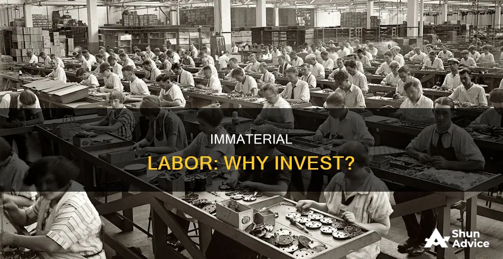 what do people invest in immaterial labor