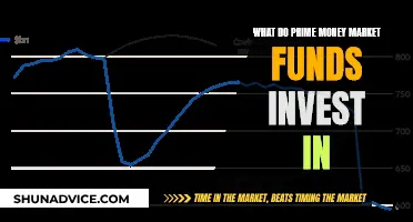 Prime Money Market Funds: Where Investments Are Focused