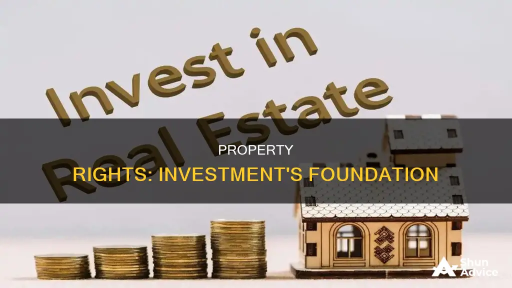 what do propert rights have to do with investment