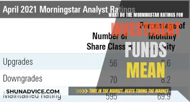 Morningstar Ratings: Understanding Investment Fund Performance Metrics