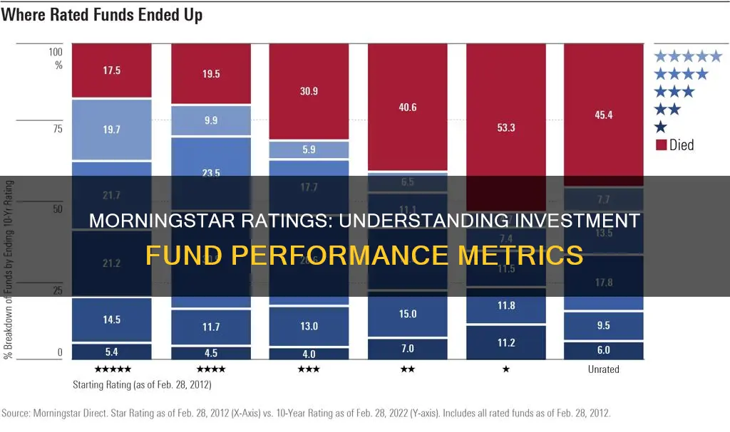 what do the morningstar ratings for investment funds mean