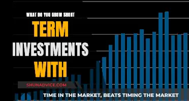 Maximizing Short-Term Growth: Strategies for Smart Investments