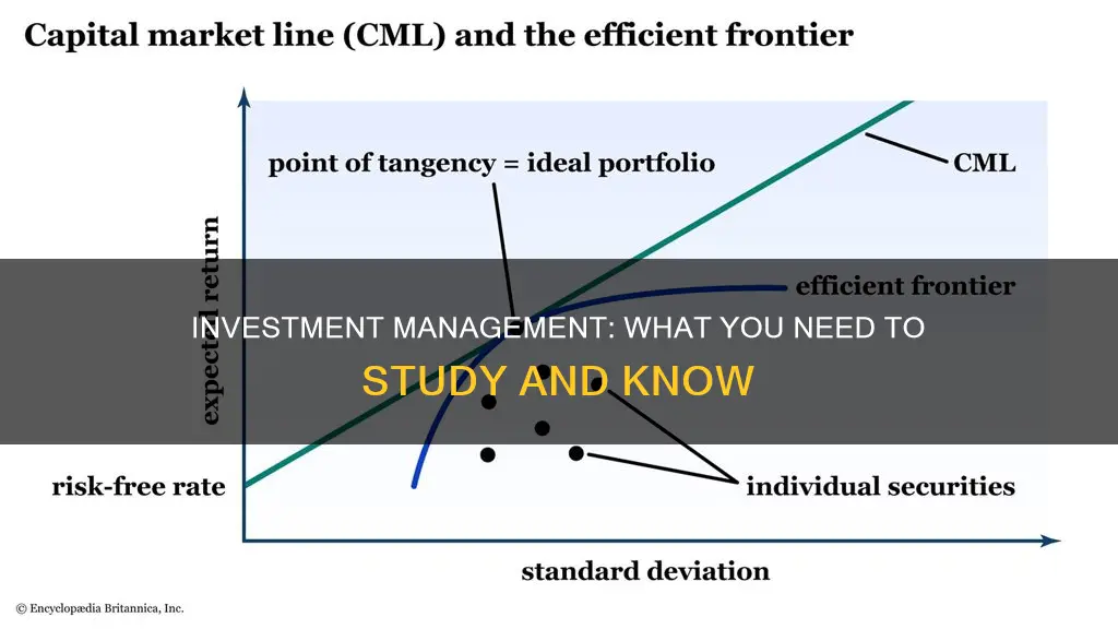 what do you study for investment management