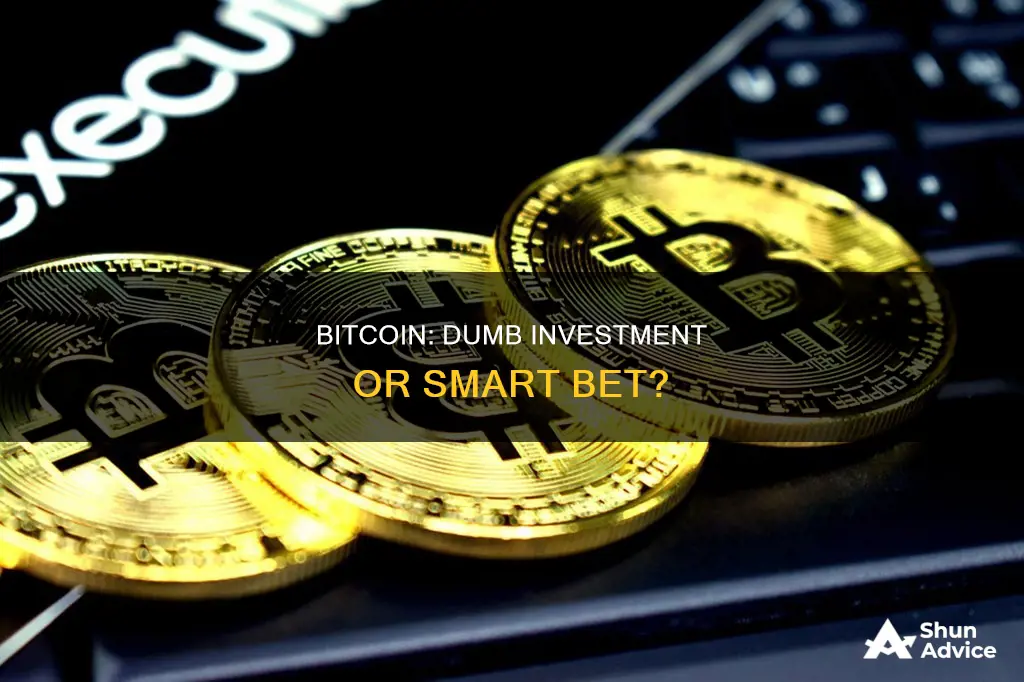 what do you think of article about bitcoin dumb investment