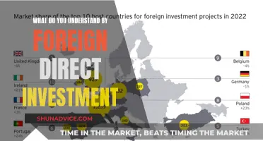 Unraveling the Global Impact: Understanding Foreign Direct Investment