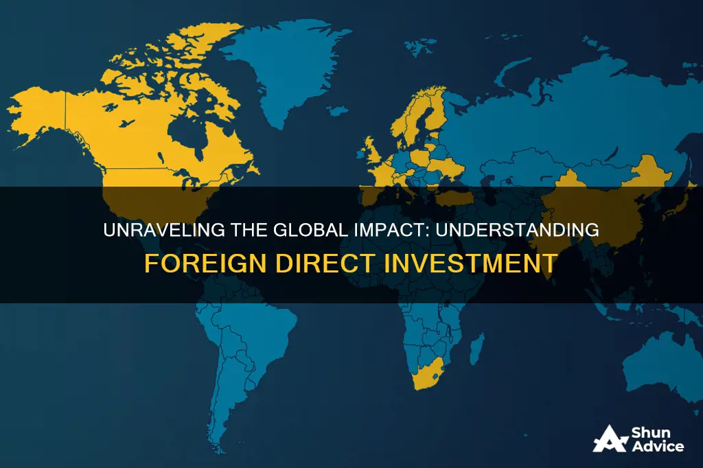 what do you understand by foreign direct investment