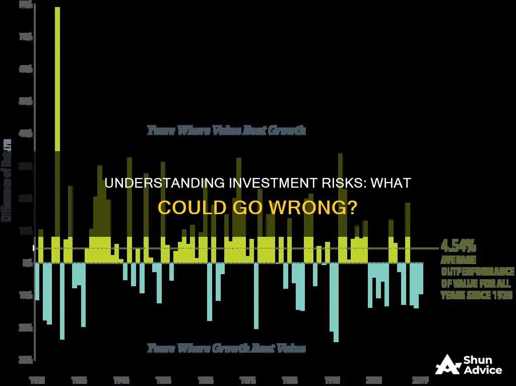 what doe investment risks include