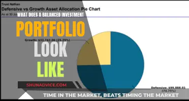 Building a Balanced Investment Portfolio: A Comprehensive Guide